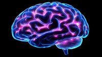 Glowing blue and pink neon brain illustration showing neural connections and brain activity on black background, suitable for medical and scientific presentations.