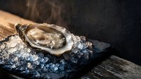 Fresh oyster on crushed ice with rising steam on dark slate board, dramatic moody lighting for seafood restaurant menu or gourmet food photography.