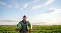 Farmer holding fresh green cactus plants in open field during daytime, showcasing agricultural harvest and sustainable farming practices for agribusiness and gardening content.