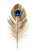 Golden peacock feather with blue eye spot isolated on white background, adorned with glitter for luxury design elements.