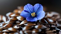 Vibrant blue flax flower resting on brown flax seeds, macro photography showing detailed texture and natural contrast in botanical composition.