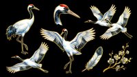 Red-crowned cranes in various poses with a feather and blossom branch, isolated on transparent background. Great for stickers, sublimation, t-shirt design, and print on demand.