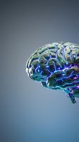 Digital brain with glowing circuit patterns and neural networks on gradient background for artificial intelligence and technology concepts.