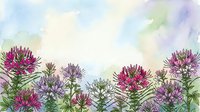 Watercolor wildflower border with purple and pink blooms on soft pastel background for spring greeting cards and botanical designs.