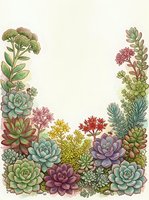 Watercolor succulent garden frame with colorful cacti and desert plants creating decorative border on cream background for botanical design projects.