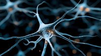 Microscopic view of neuron cell with dendrites and axons glowing in blue tones against dark background, showing neural network connectivity in brain tissue.