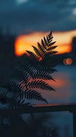 Silhouette of fern leaves against dramatic orange and blue sunset sky, creating moody nature atmosphere with bokeh light effect in background.