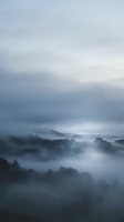 Misty morning landscape with fog rolling over forested hills under moody overcast sky creating atmospheric nature scene for meditation and wellness content.