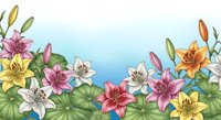 Colorful lily flowers border frame with green leaves on gradient blue background. Floral botanical illustration for spring summer design projects.