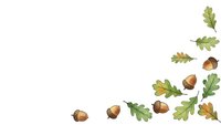 Autumn oak leaves and acorns scattered on white background creating natural fall border frame for seasonal design projects.