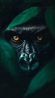 Dark primate portrait with striking amber eyes and textured facial features, surrounded by moody green foliage. Suitable for wildlife, nature documentaries, and editorial design projects.
