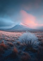 Dramatic mountain peak at sunrise with frost-covered vegetation in foreground, moody clouds and pink alpenglow illuminating snowy summit against blue morning sky.