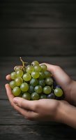 Fresh green grapes held in hands against dark wooden background. Ripe fruit cluster with natural stem, ready for healthy eating or culinary use.