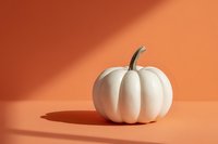 White decorative pumpkin on orange background with shadow, minimal autumn composition for seasonal marketing and holiday decor.