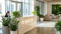 Modern office reception area with wooden desk, green plants, and natural lighting creating professional welcoming workspace for business meetings.