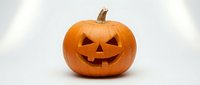 Carved orange pumpkin jack-o-lantern with smiling face isolated on white background for Halloween decoration and autumn seasonal design projects.