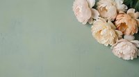 Soft cream peonies arranged in the corner against a sage green textured wall, offering generous copy space for text or design.
