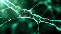 Glowing green neuron synapse connection on dark background showing neural network activity and brain cell communication in microscopic detail.
