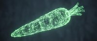 Glowing green wireframe carrot with geometric mesh structure on dark background, suitable for technology, nutrition, and digital design projects.