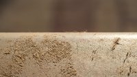 Natural wood plank surface with visible grain texture and small nail holes, rustic lumber material for construction and carpentry projects.