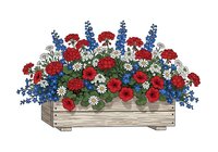 Wooden planter box overflowing with red geraniums, blue delphiniums, and white daisies. Isolated botanical arrangement for garden design, landscaping projects, and seasonal decoration concepts.