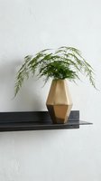 Asparagus fern with delicate feathery foliage in gold ceramic vase on black floating shelf against white wall for home decor and interior design.