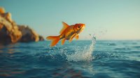 Orange goldfish jumping out of blue ocean water with splashes against rocky coast and sunset sky background, creating magical moment in nature.