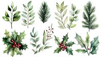 Watercolor botanical set with holly berries, pine branches, and green leaves on white background for holiday cards, invitations, and seasonal designs.