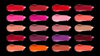 Lipstick swatches in assorted shades ranging from deep burgundy to coral, displayed in rows on transparent background, ready for cosmetics packaging, beauty product design, makeup tutorials, and print-on-demand applications.