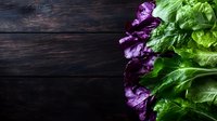 Fresh green and purple lettuce leaves arranged on dark wooden background, copy space for menu, restaurant promotion or healthy eating concept.