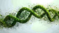 Green DNA helix structure dissolving into particles against light background, representing genetic research and biotechnology advancement in medicine.