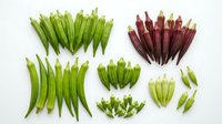 Okra pods in various stages of ripeness arranged on white background, showcasing green and red varieties for culinary, agricultural, and food styling applications.