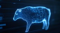 Glowing blue wireframe cow silhouette on dark background with digital network pattern and light effects, representing agricultural technology and smart farming.