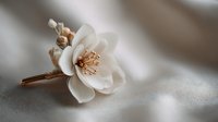 White magnolia flower with golden stamens on soft fabric background for wedding decoration and romantic events.