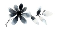 Minimalist watercolor flower in grayscale tones with delicate petals and leaves, painted with soft brush strokes on white background, suitable for modern wall art and stationery design.