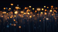 Glowing dandelion seed heads illuminated against dark background creating magical night garden atmosphere with bokeh lights and dreamy effect.