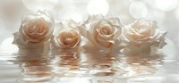 Delicate peach roses floating on reflective water surface with soft bokeh background, creating dreamy romantic atmosphere for wedding and spa designs.
