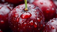 Fresh ripe dark red cherry with water drops close up macro photography on dark background, selective focus on wet glossy surface of berry.