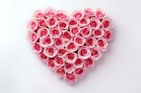 Pink roses arranged in heart shape on white background, romantic floral composition for wedding, Valentine's Day or anniversary celebration designs.