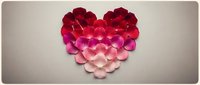 Heart shape made from red and pink rose petals arranged in gradient pattern on white background for romantic Valentine's Day wedding anniversary designs.