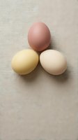 Three fresh farm eggs in natural pastel colors arranged on neutral linen fabric background for organic cooking and healthy nutrition concepts.