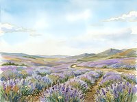 Lavender field landscape with rolling hills, winding path, and soft clouds in sky, suitable for travel, nature, and wellness design projects.