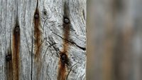 Weathered wooden fence post with rusty metal nails and natural grain texture showing age and outdoor exposure for rustic construction projects.