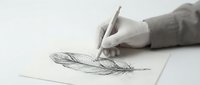 Hand drawing detailed feather sketch with pencil on white paper, artistic illustration process for botanical study and creative design projects.