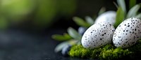 Speckled white eggs nestled in green moss with soft natural lighting and blurred foliage background for Easter spring seasonal designs.