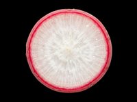 Sliced radish cross section isolated on transparent background, ready for stickers, print on demand, T-shirt design, clipart, and sublimation projects.