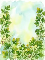 Watercolor herb garden frame with parsley, dill, and botanical elements on soft pastel background, suitable for recipe cards, cooking blogs, and culinary designs.