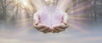 Hands cupping glowing spiral mandala with divine light rays in mystical forest setting for spiritual healing and meditation concepts.