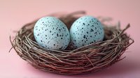 Two speckled robin eggs in natural twigs nest against pink background, macro nature photography showing delicate texture and spring season details.