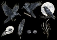 Dark ravens clipart set with skull, feather, moon, and mystic eyes, isolated on transparent background. Ready for Halloween t-shirts, stickers, and print on demand.